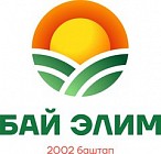 Нельзя путать политику с экономикой. Садыр Жапаров о заводе «Бай Элим»