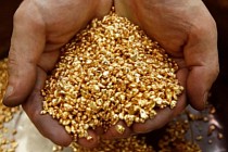 Цена вопроса Солтон-Сары: поднять 12 тонн золота, вложить $100 млн и помириться с местным населением