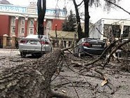 В Бишкеке и Чуйской области из-за сильного ветра пострадали 24 человека
