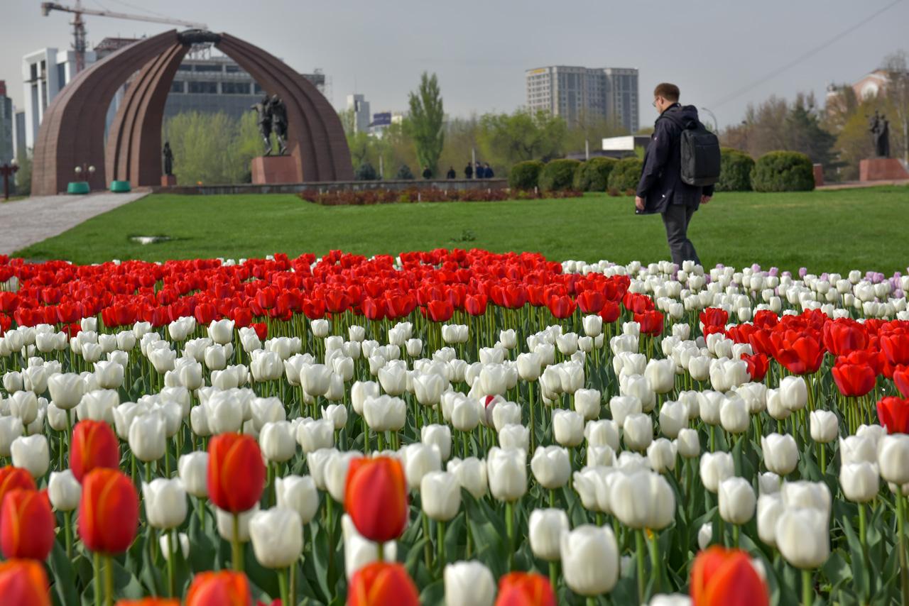 Мэрия города Бишкек цветы