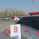 Traffic militia of Bishkek fine women with flowers 
