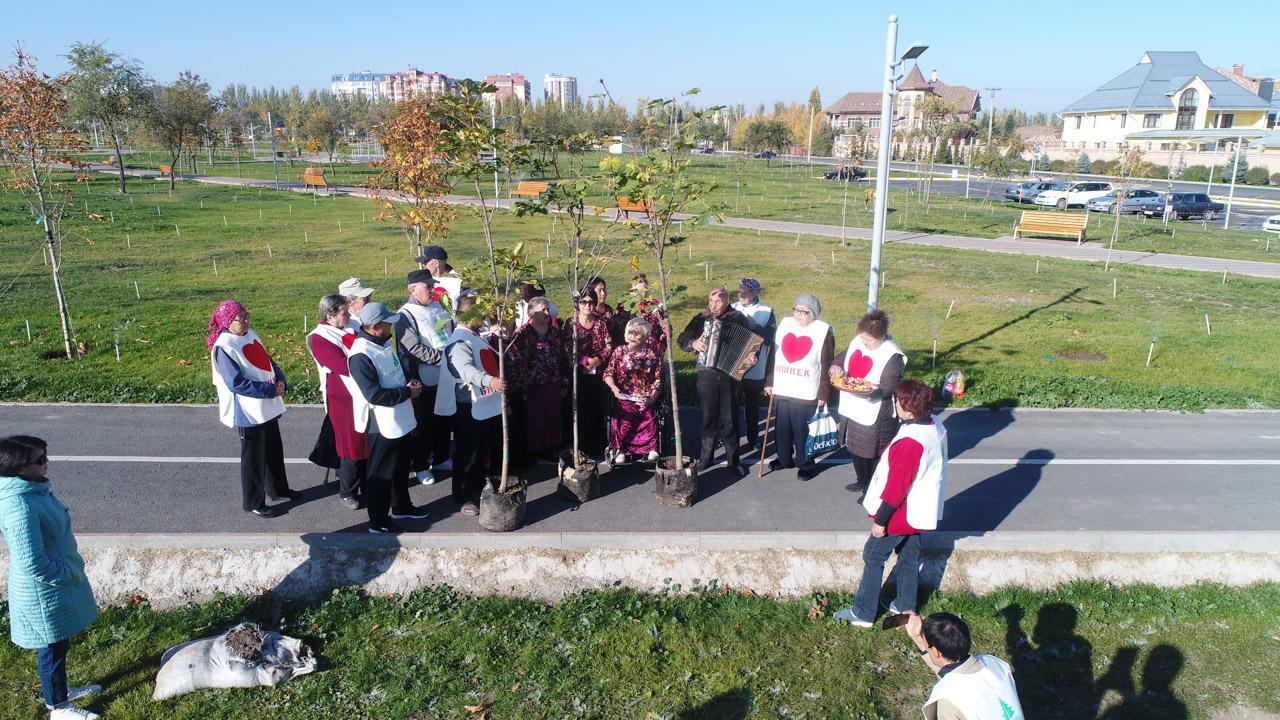 Бабушки и дедушки из дома престарелых посадили в Бишкеке каштаны, купленные  на собственные деньги