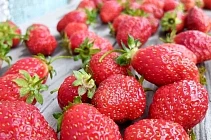 Более четырех тонн свежей клубники из Кыргызстана не пустили в Россию