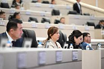 Сокращение аудиторов Счетной палаты комитет ЖК одобрил сразу в двух чтениях