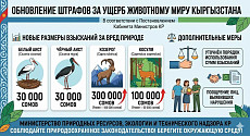 В Кыргызстане увеличили штрафы за убийство диких животных 