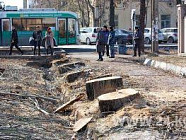 Активистка предложила мэру Бишкека пользоваться общественным транспортом Активистка предложила мэру Бишкека пользоваться общественным транспортом