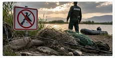 За браконьерство в Кыргызстане будут сажать на срок до семи лет