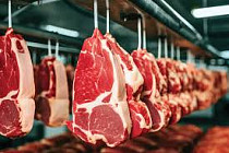 В Кыргызстан будут поставлять мясо из Монголии