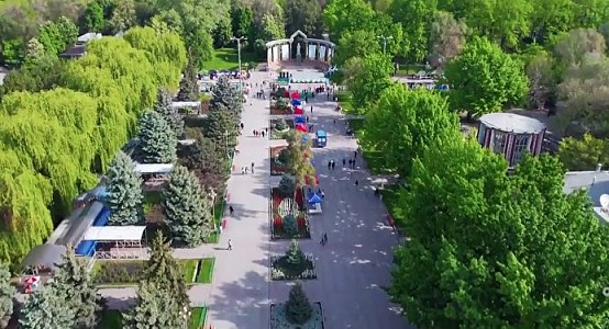 Более 46% зеленых насаждений в населенных пунктах КР приходится на Бишкек