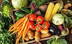 Горох, тыква и слива из Кыргызстана выходят на международные рынки