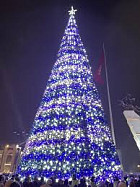 Украшение елки на площади Ала-Тоо обошлось бюджету Бишкека в 2 миллиона сомов