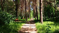 Карагачевая роща Бишкека получит статус особо охраняемой зоны