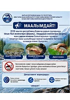 В Кыргызстане введен лимит на вылов отдельных видов рыб в спортивных и любительских целях