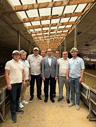 Министр сельского хозяйства Азербайджана заинтересовался арашанскими овцами