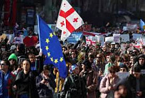 Власти Грузии оштрафовали чиновника ОБСЕ за участие в митинге