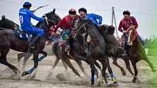 Депутат заявил о необходимости реформировать правила игры в кок-бору