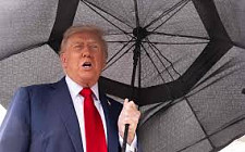 Трамп отреагировал на заявление Путина об испытании «Буревестника»