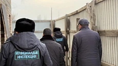 В Бишкеке проходят рейды по защите экологии