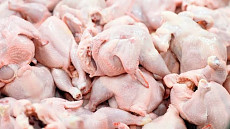 Вырос импорт мяса в Кыргызстан. В основном мясо птицы