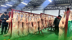 Оптовую торговлю мясом перенесли с Ошского рынка в район Маевки