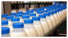 В Кыргызстане обеспеченность молоком превысила 130%: экспорт растёт, но производители жалуются на сбыт