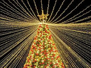 На площади Ала-Тоо начали устанавливать главную елку