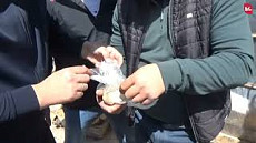 ГКНБ: в Кыргызстане пресечен крупный канал сбыта наркотиков и психотропов ГКНБ: в Кыргызстане пресечен крупный канал сбыта наркотиков и психотропов