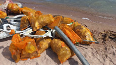 Водолазы МЧС подняли тонну мусора со дна пляжа «Золотые пески»