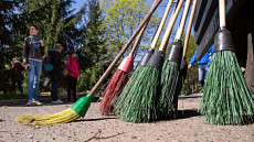 За выброс мусора будут привлекать к общественным работам – ЖК одобрил законопроект