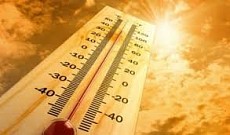 Жара до +40 градусов. Прогноз погоды в Бишкеке на начало августа
