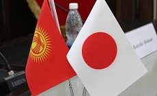 ЖК одобрил соглашение с Японией об устранении двойного налогообложения