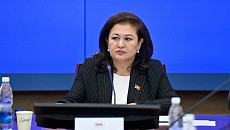 Депутат призвала не допустить ограничения свободы слова и прав журналистов