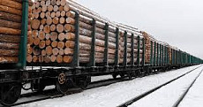 В Кыргызстан не пропустили пиломатериалы хвойных пород из России
