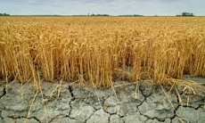 В Кыргызстане прогнозируют дефицит воды