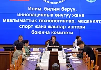 Комитет ЖК рассмотрел изменения в закон при получении общегражданских паспортов для несовершеннолетних