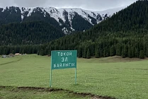 За незаконное выделение земель задержан бывший директор Тюпского лесного хозяйства