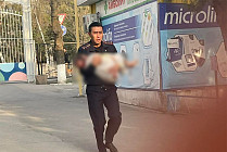 Стая собак напала на ребенка в Бишкеке. В милиции сообщили подробности