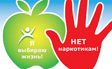 В Кыргызстане появился механизм раннего оповещения о новых наркотиках