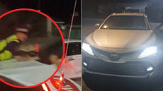 Несовершеннолетний водитель протащил инспектора на капоте авто