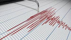 От землетрясения в Кыргызстане пострадали жилые дома 
