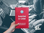 Юрист рассказал о "дежурной статье", которую власти используют против СМИ и блогеров.