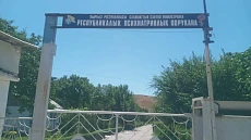 В Кыргызстане на учете состоят более 52 тыс. человек с психическими расстройствами