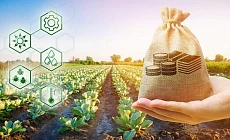 В Кыргызстане запускается электронная очередь для получения льготных кредитов фремерами