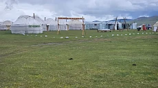 В Нарынской области выявили финансовые нарушения при сборе уплаты за пользование пастбищами