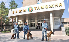 Таможня Кыргызстана выявила факты незаконного использования товаров без таможенного оформления