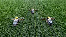 Минсельхоз Кыргызстана призывает землевладельцев строго соблюдать земельное законодательство