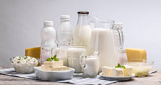 За полгода Кыргызстан экспортировал почти 20 тыс. тонн молочной продукции