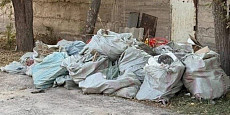В Токмоке предприятие «Экологист» оштрафовано за нарушения вывоза мусора