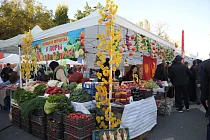 Сельхозпроизводство в Кыргызстане за год выросло на 6,5% Сельхозпроизводство в Кыргызстане за год выросло на 6,5%