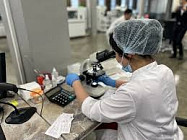 Кабмин создает систему раннего выявления биологических угроз